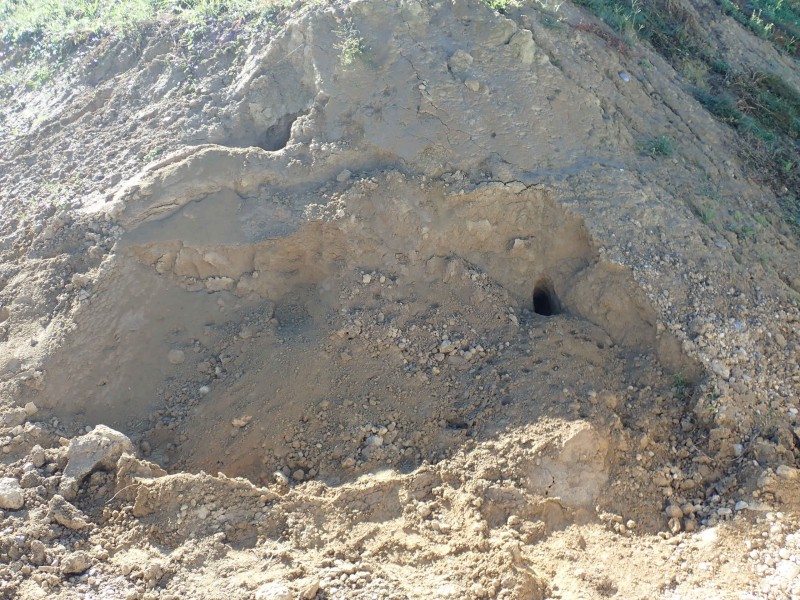 Erde kaufen Basel Humus kaufen Basel Sand kaufen Basel L&ouml;ss kaufen Basel Kies kaufen Basel&nbsp;